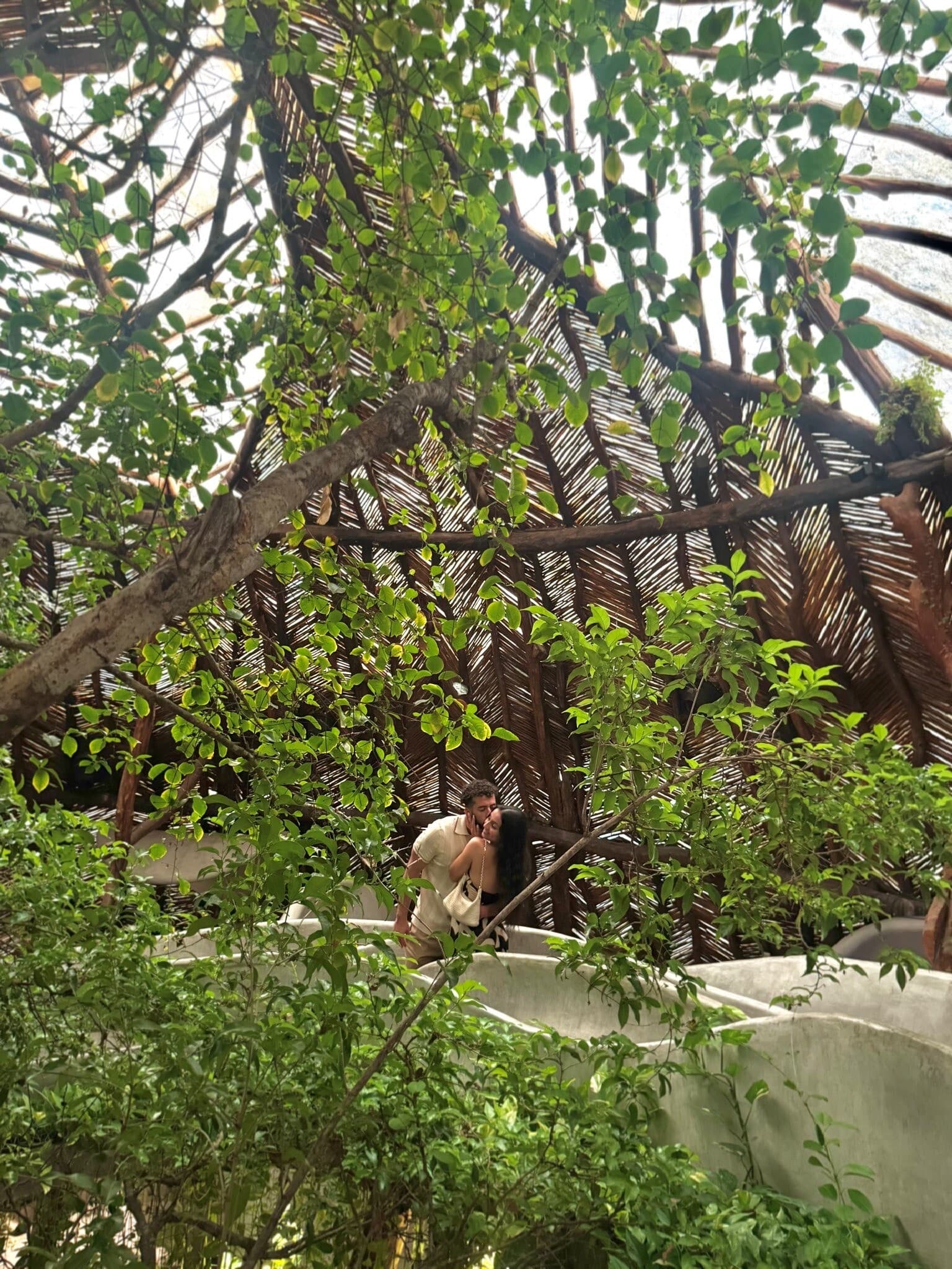 Tropical foliage setting