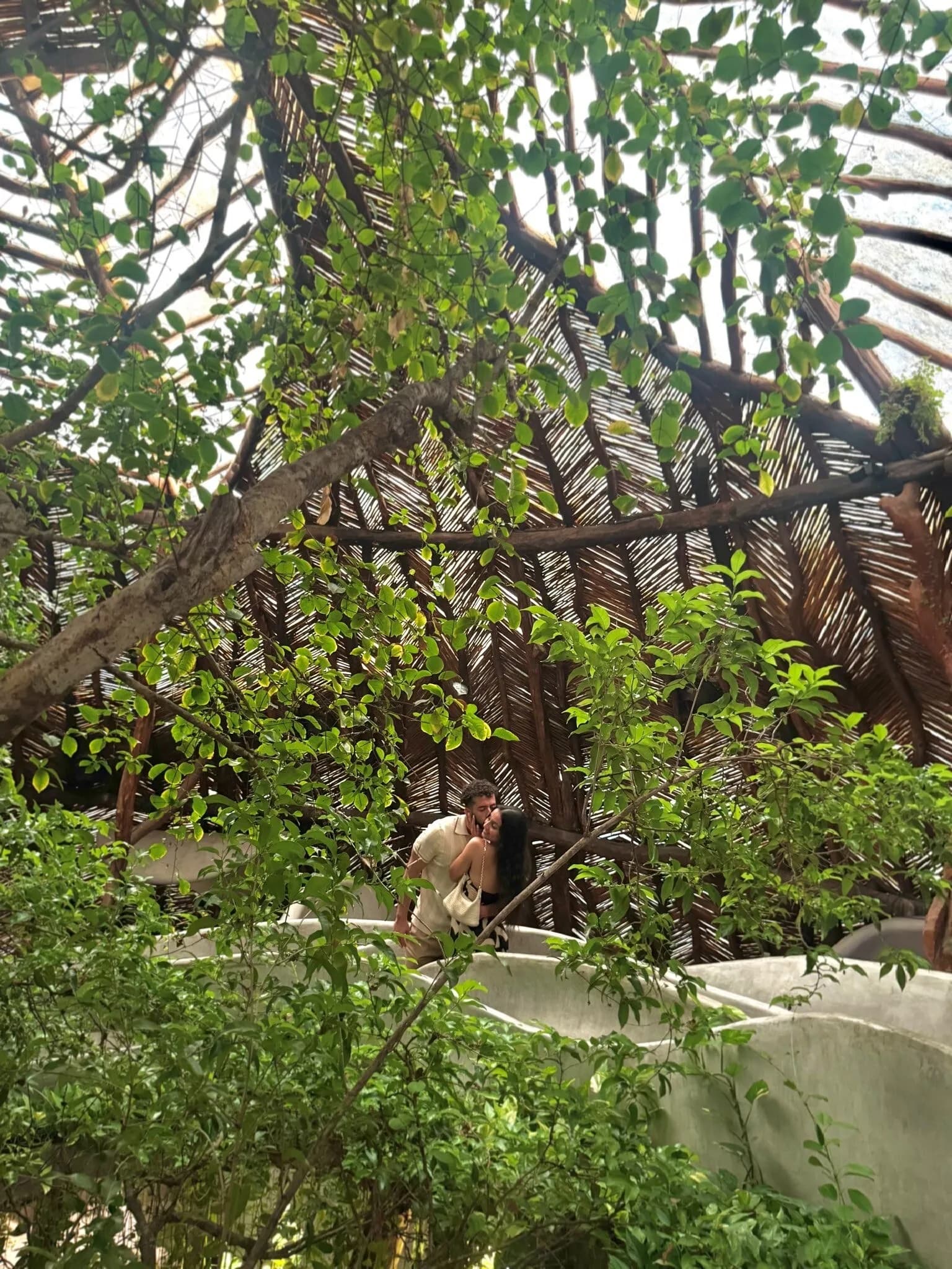 Tropical foliage setting